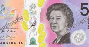 $5 Donation